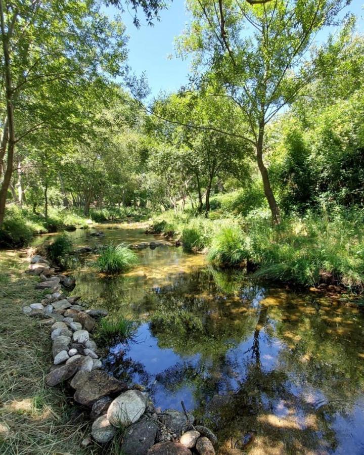 Hotel Ribera Del Corneja Navacepedilla de Corneja Buitenkant foto